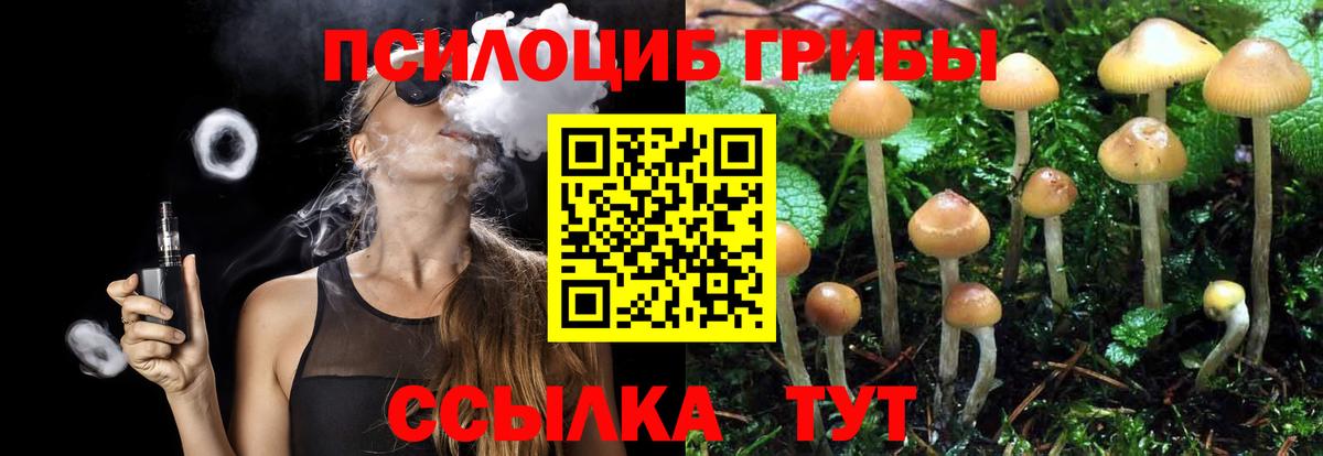 Галлюциногенные грибы Cubensis Мыски