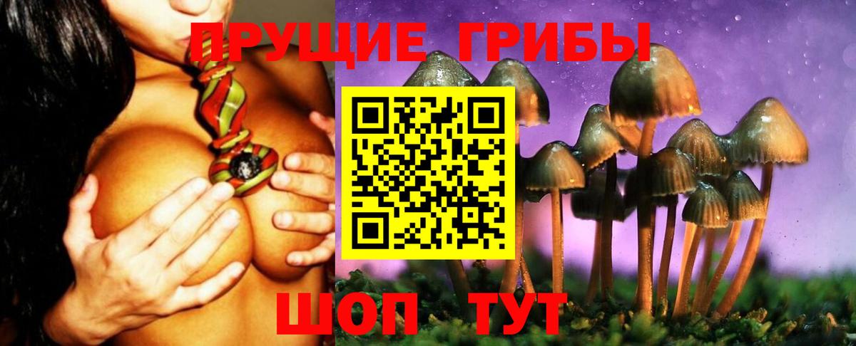 Мыски  Галлюциногенные грибы Magic Shrooms  Галлюциногенные грибы Psilocybe  Вход с VPN 
